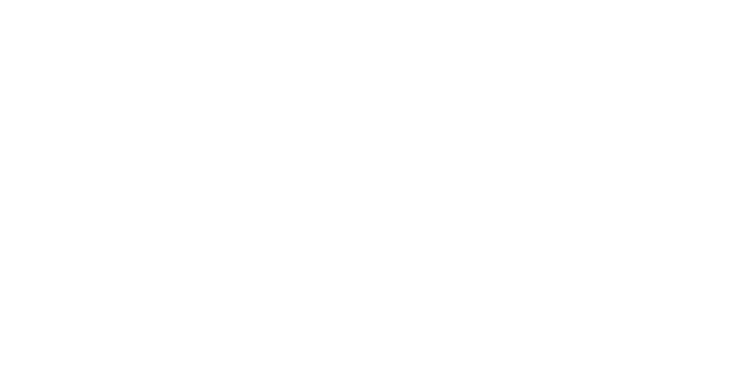 TurFoodLogo